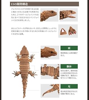 だんごむし07 全５種類 新品未開封品 レアアイテム入り バンダイ ガシャポン だんごむし07 だんごむしとアルマジロトカゲ｜ガシャポン